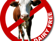 dairy substitutions guide