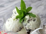 Pure Mint Chip Ice Cream