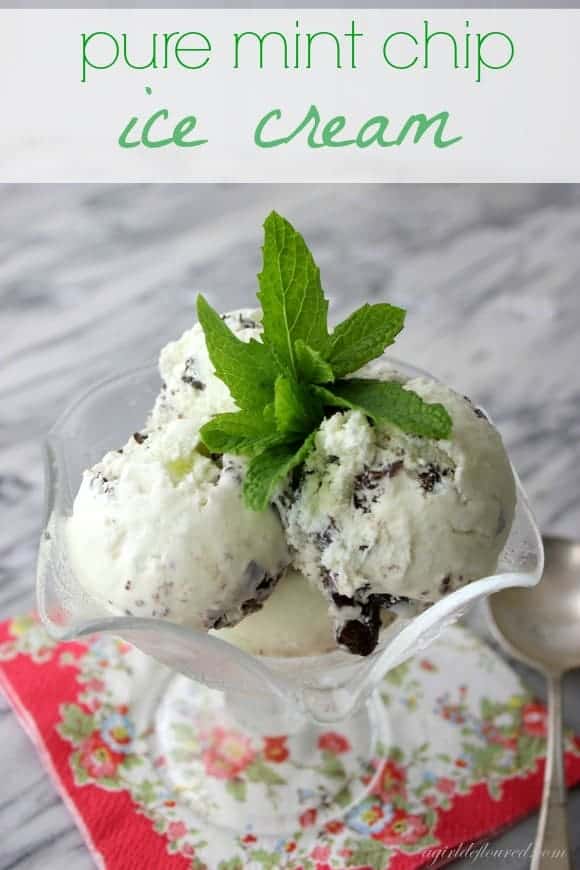Pure Mint Chip Ice Cream Recipe