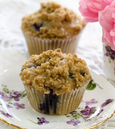 two gluten-free vegan blueberry muffins