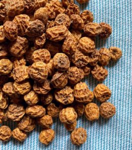 what are tigernuts?