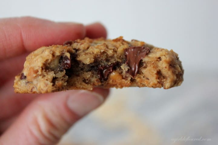 Gluten-Free Oatmeal Chocolate Chip Breakfast Cookies | Alison, Fabulously Flour Free
