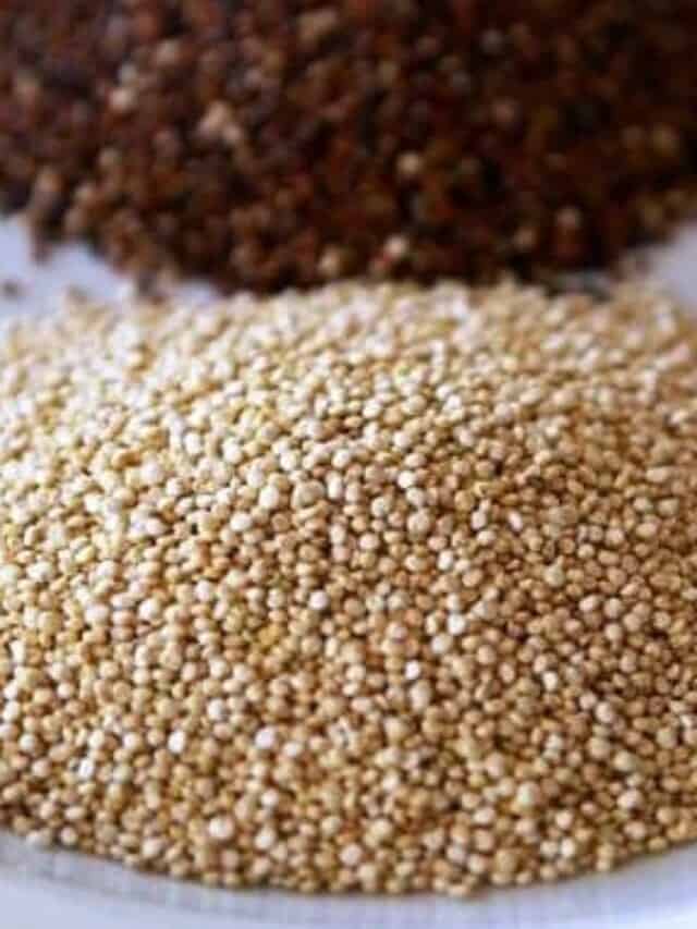 All About Quinoa - piles of gold and red raw quinoa