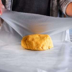 wrapping kneading fresh gluten-free pasta dough
