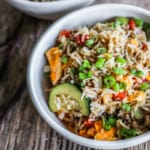 The Best Fried Rice Recipe - bowl of chicken fried rice