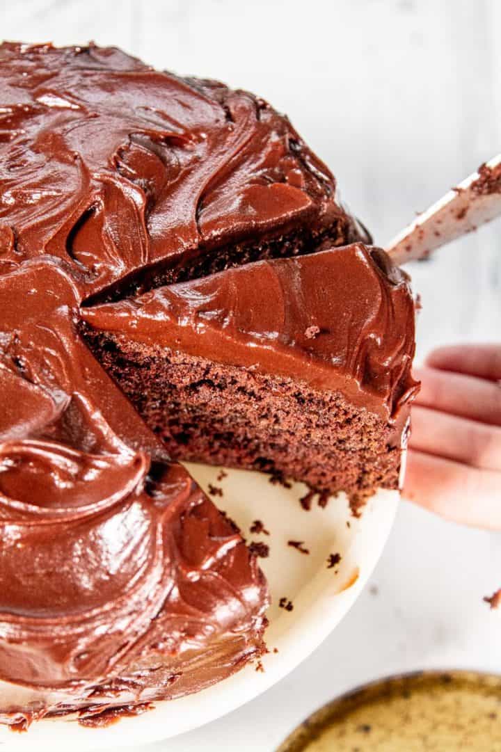 What Is Devil's Food Cake? The Best Cake Ever!
