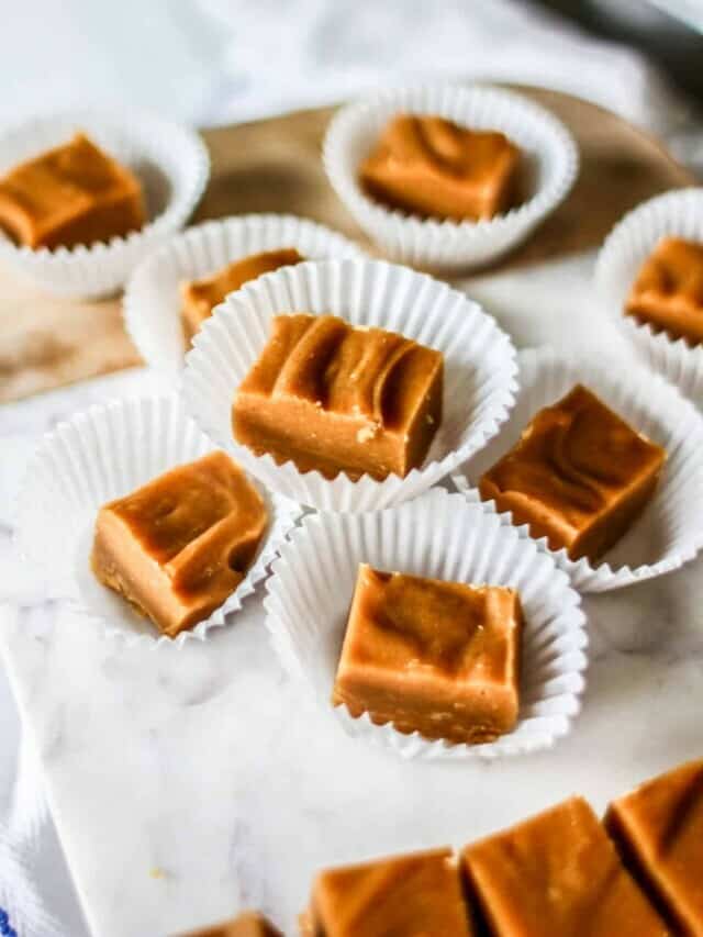 The Best Peanut Butter Fudge Recipe To Try Now 