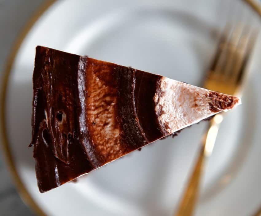 slice of Bravetart's Chocolate Cranberry Cake