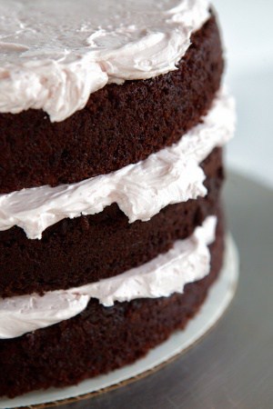 layers of buttercream on a chocolate cranberry layer cake