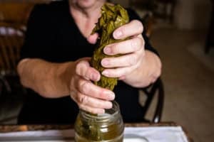 draining a jar of grape leaves