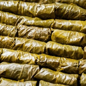 full platter of Rice Stuffed Grape Leaves Recipe: Yalanchi Sarma